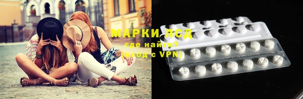 гидра Арсеньев