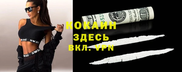 гидра Баксан