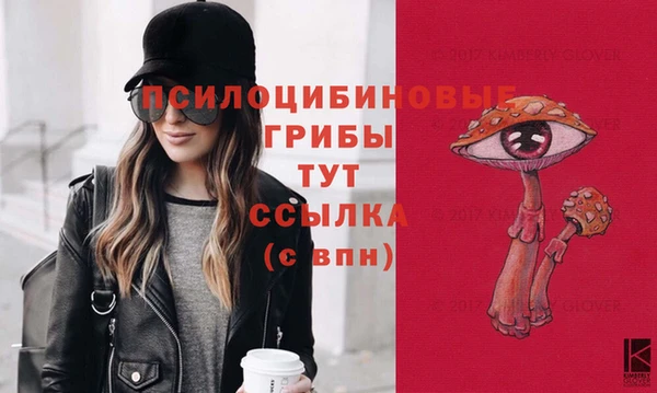 ГАЛЛЮЦИНОГЕННЫЕ ГРИБЫ Аркадак